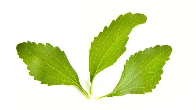 Best Selling Stevia Products - Wellica