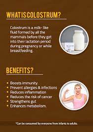 Colostrum