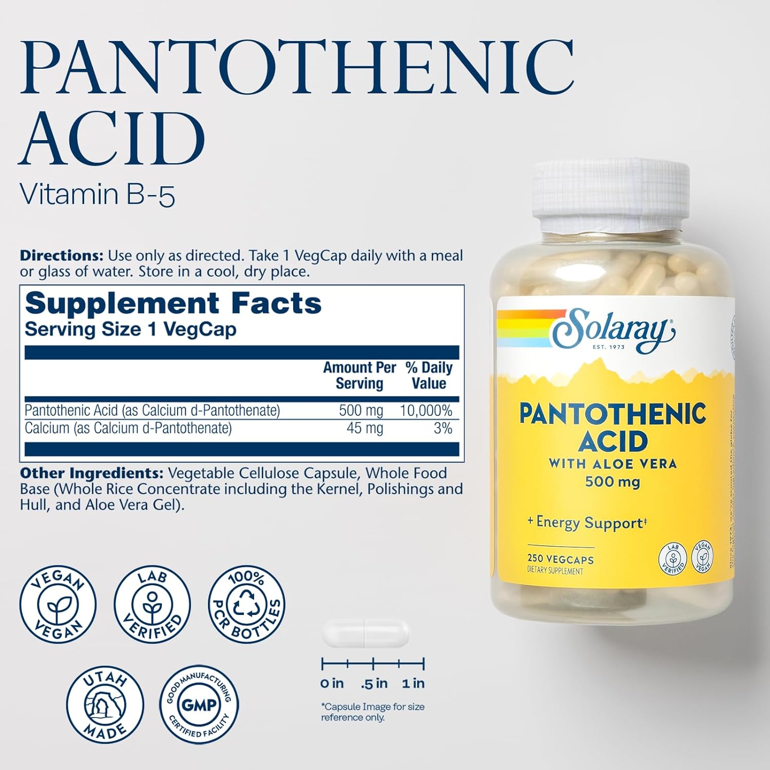 Solaray Pantothenic Acid 250ct VegCap