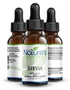 Stevia - 2 oz Liquid- Single Alcohol Free - Sugar Substitute