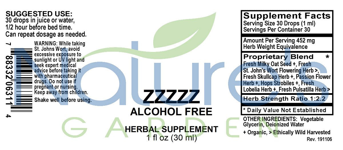 Zzzzz Liquid Extract Alcohol-Free 1 oz