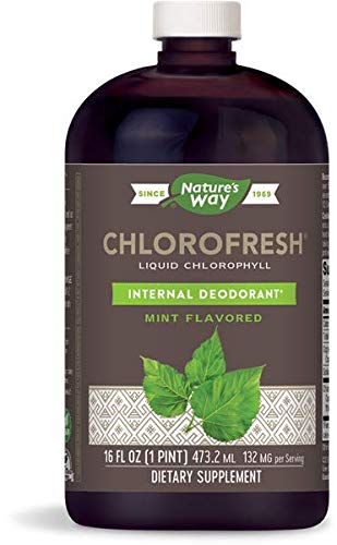 Nature's Way Chlorofresh W/ Mint Liquid 16 oz