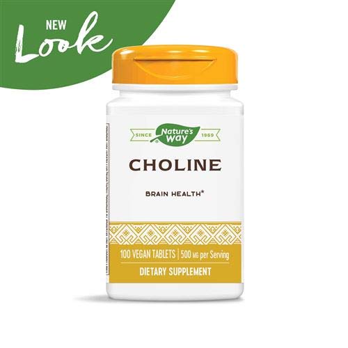Nature's Way Choline 500 Mg 100 Tablet Pack of 2