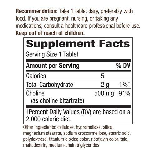 Nature's Way Choline 500 Mg 100 Tablet Pack of 2