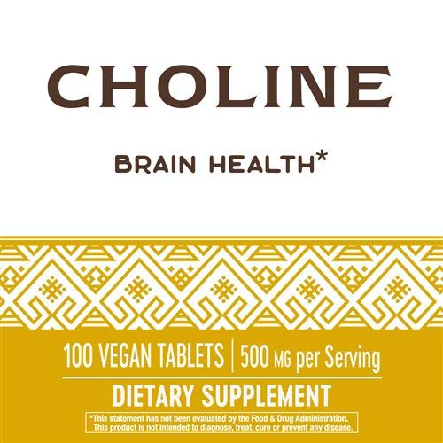 Nature's Way Choline 500 Mg 100 Tablet Pack of 2