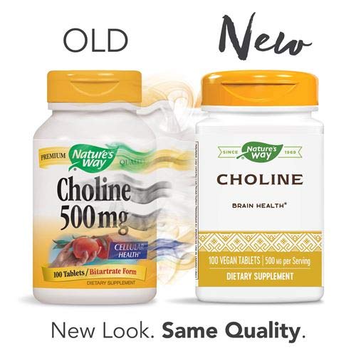 Nature's Way Choline 500 Mg 100 Tablet Pack of 2