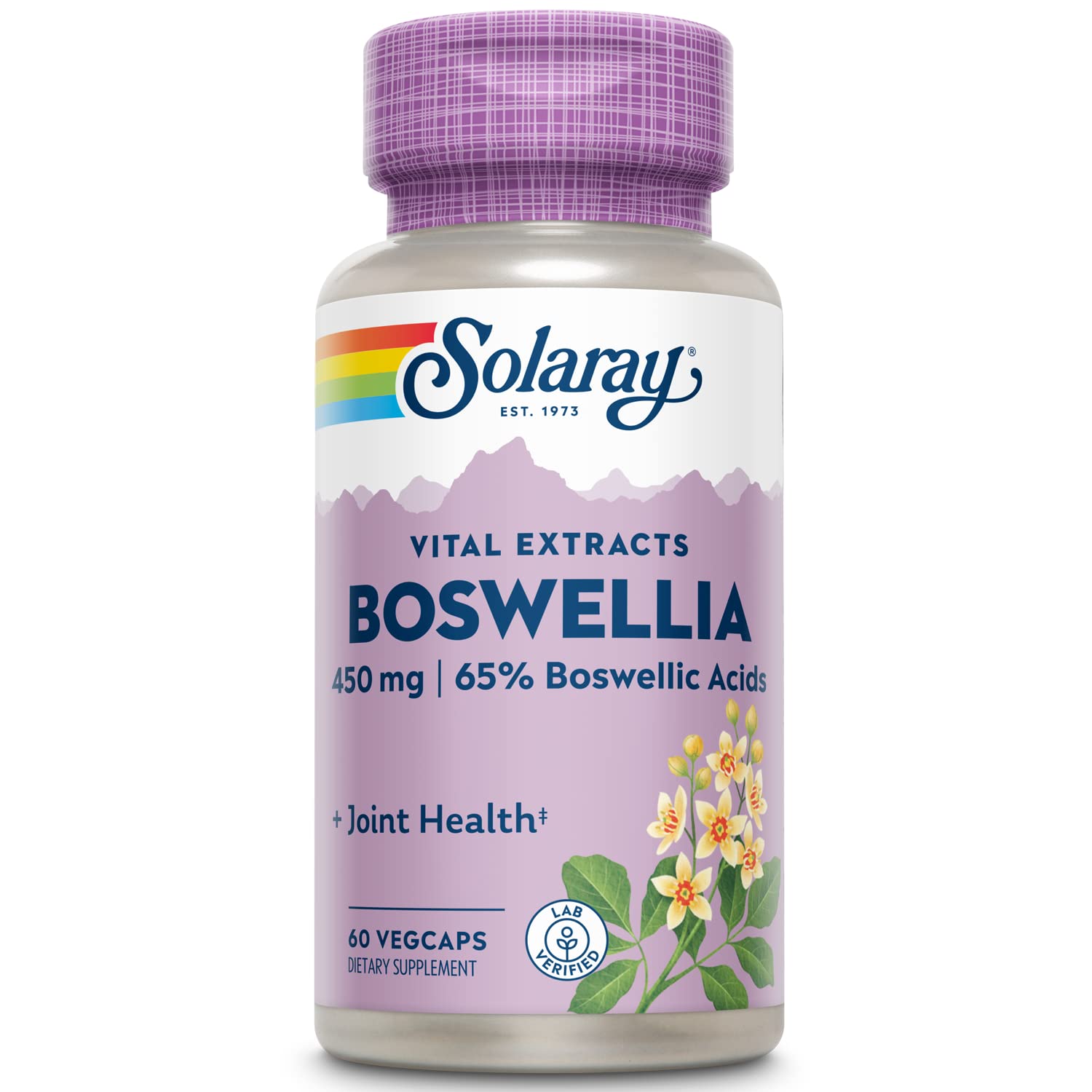 Solaray Guaranteed Potency Boswellia Resin Extract 450 mg VCapsules, 60 Count