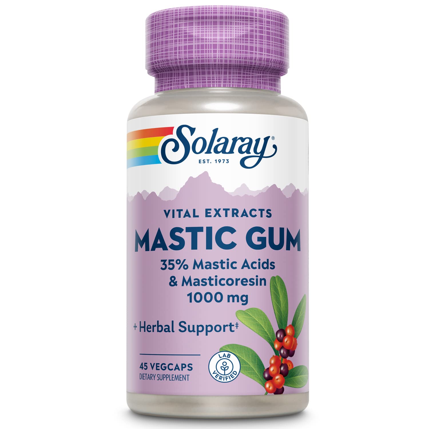 Solaray Mastic Gum Extract, 500 mg, 45 Count