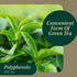 Gaia Herbs (Professional Solutions) Green Tea 60 lvcaps
