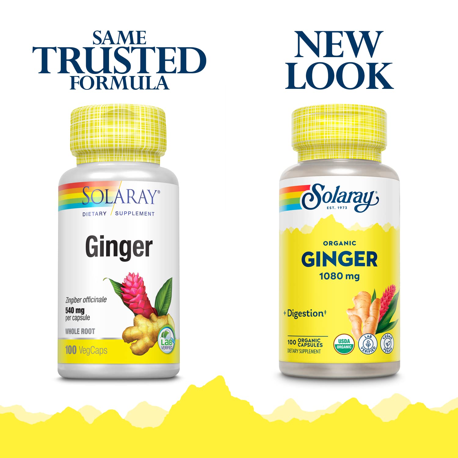 Solaray Organically Grown Ginger Root 540mg | Healthy Cardiovascular, Digestive, Joint & Menstrual Cycle Support | Vegan & Non-GMO | 100 VegCaps