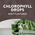Nature's Way Chlorofresh (Mint) 40X Drops 2 fl oz (59 ml) drop