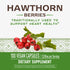 Nature's Way Hawthorn Berries 100 Cap
