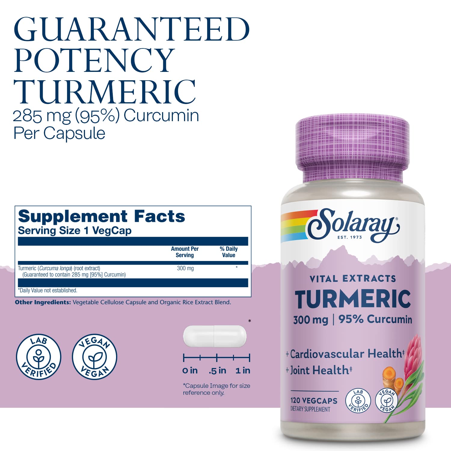 Solaray - Turmeric Root Extract, 120 capsules