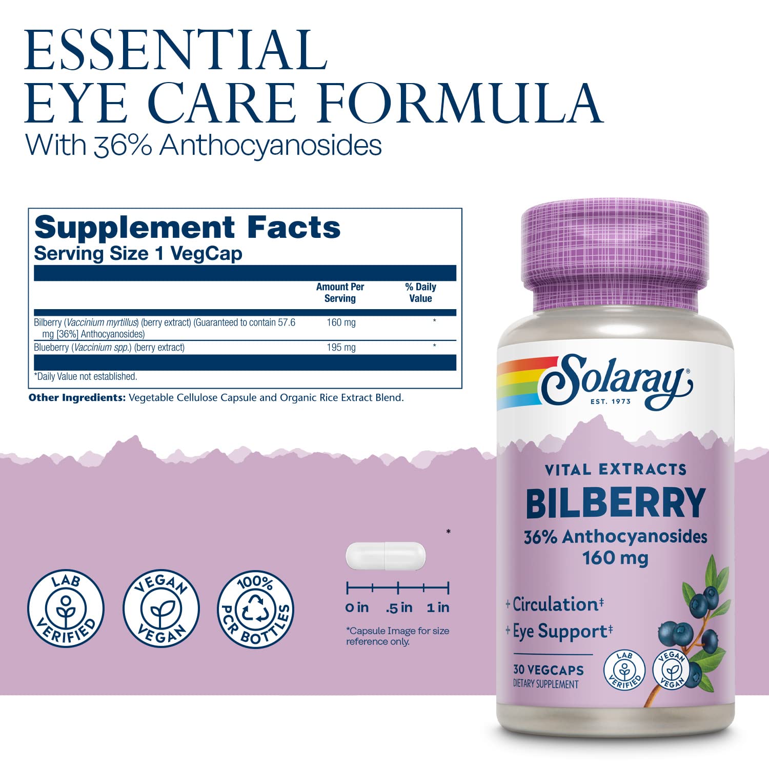 Solaray Bilberry Berry Extract One Daily 30ct VegCap