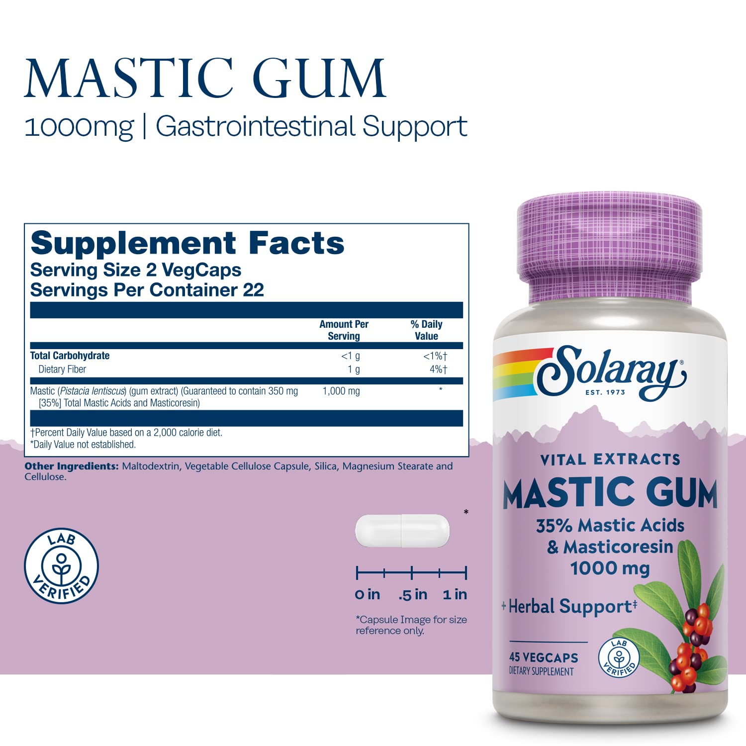 Solaray Mastic Gum Extract, 500 mg, 45 Count