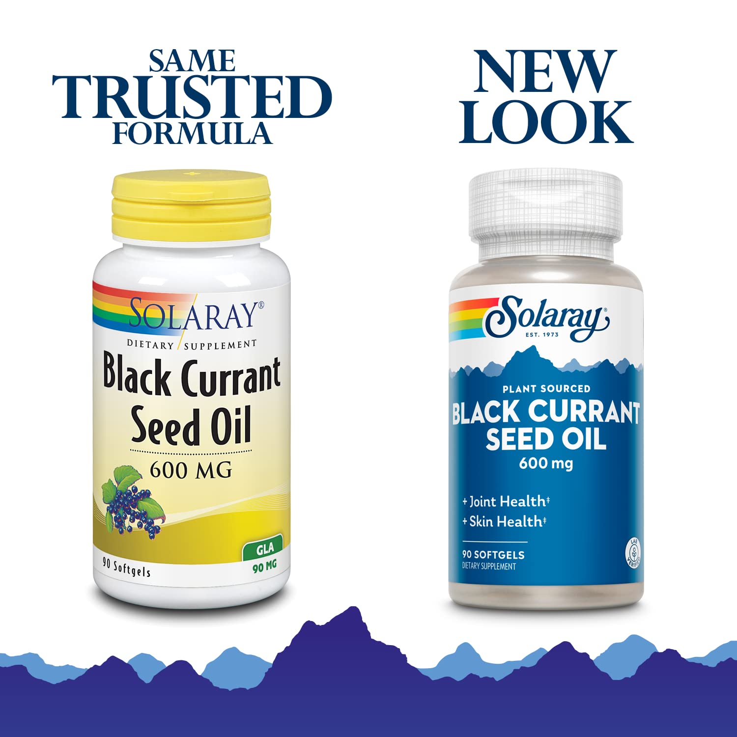 Solaray Black Currant Seed Oil 600 mg | 90 Softgels
