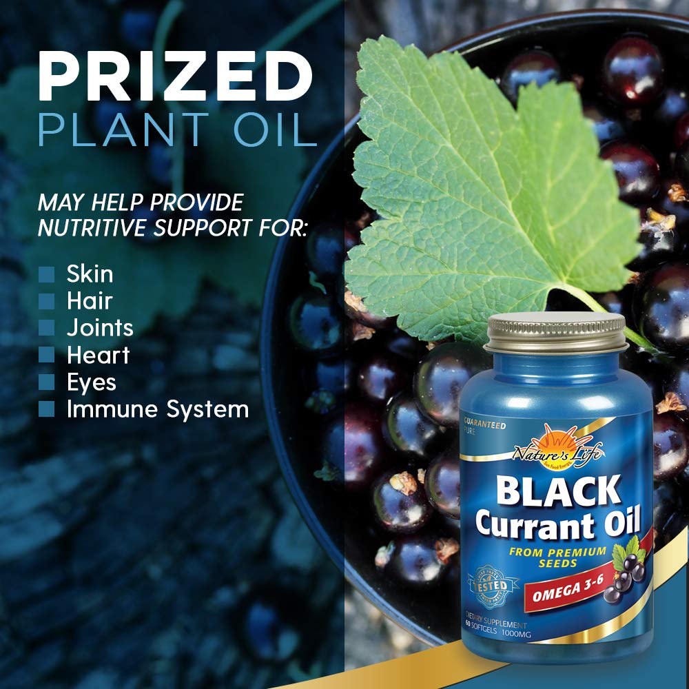 Nature's Life Black Currant Seed Oil 1000 mg | With Omega-3 ALA, Omega-6 GLA and Stearidonic Acid | 60ct, 60 Servings