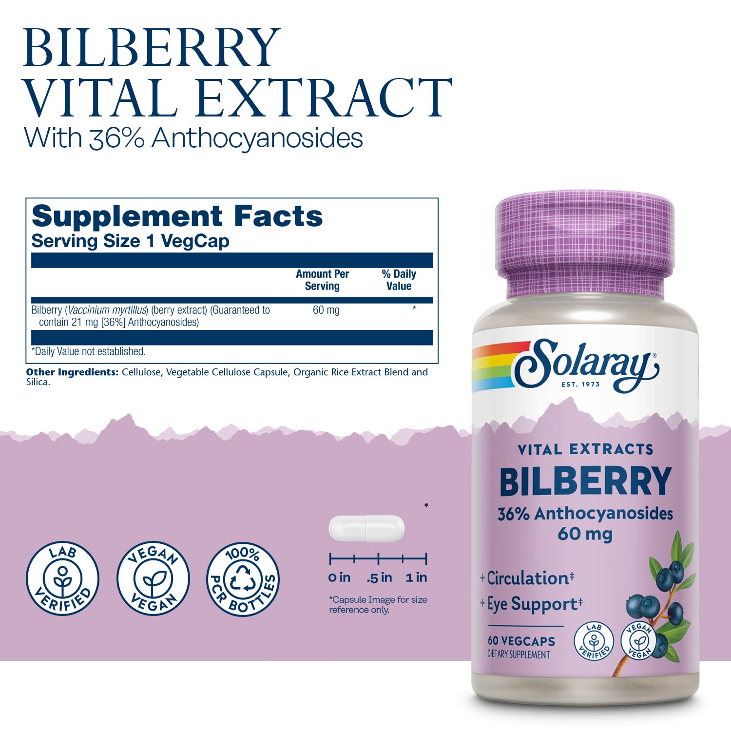 Solaray Bilberry Berry Extract 60ct VegCap