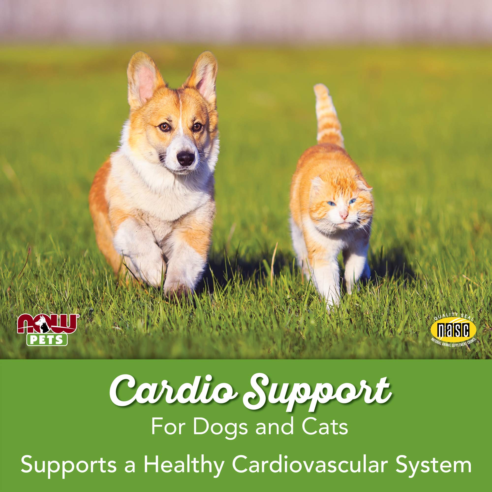 NOW Pet Health, Cardiovascular Support Supplement, Formulated for Cats & Dogs, NASC Certified, Powder, 4.5-Ounce