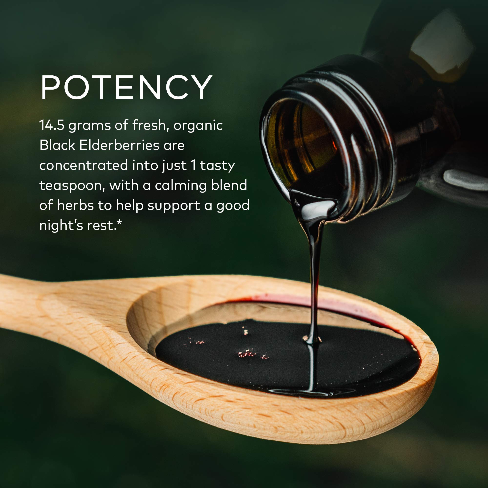 Black Elderberry NightTime Syrup 3 oz