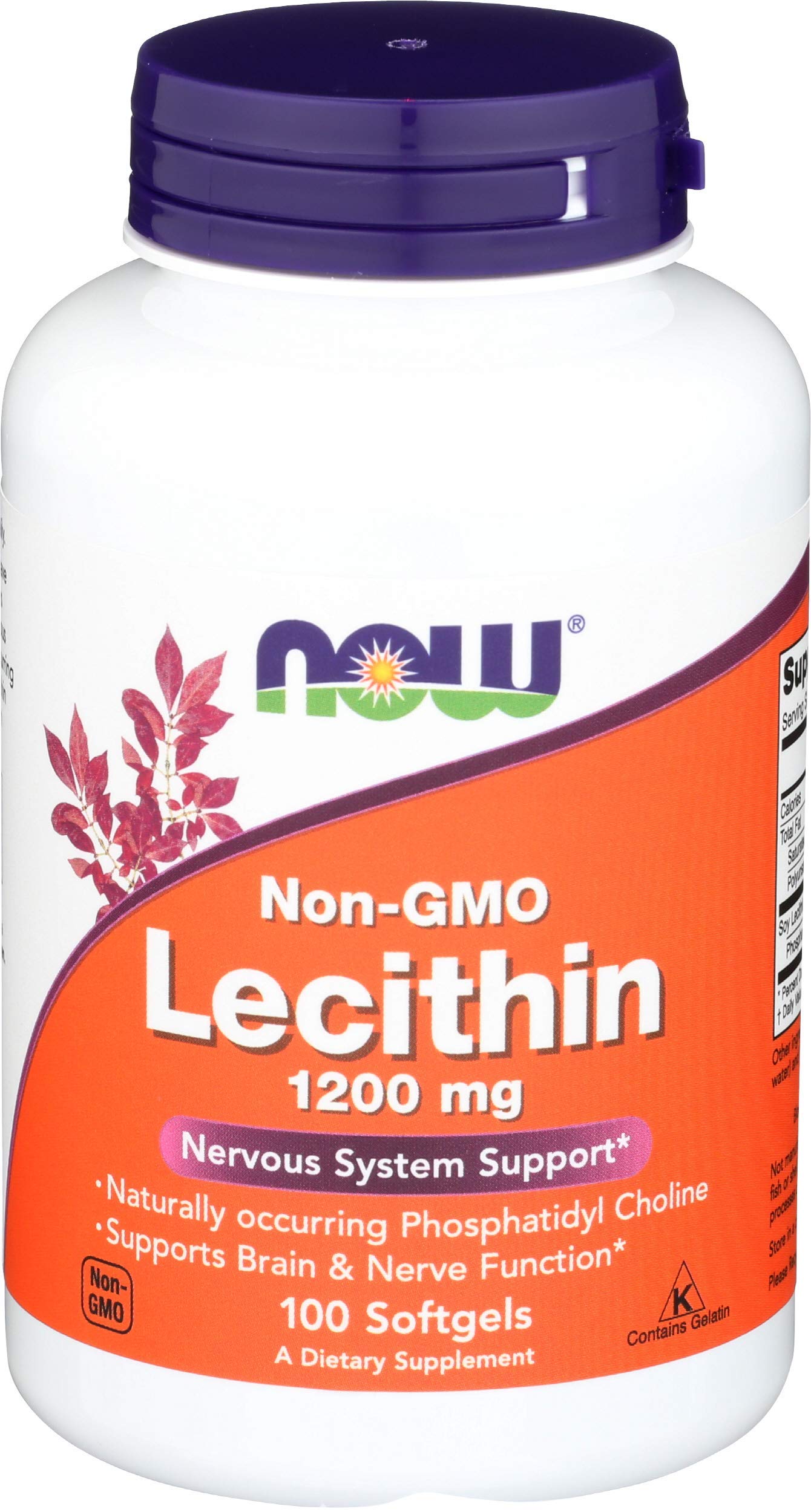 Lecithin 1200Mg 100 Sgels